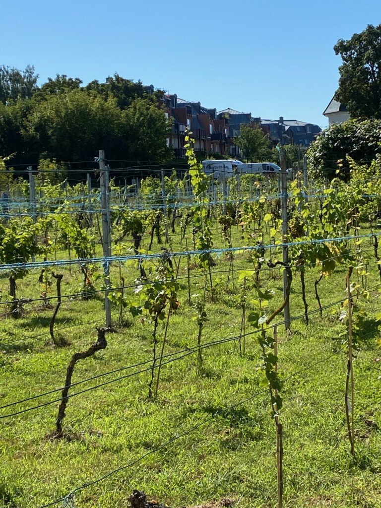 Ostereiersuche auf der Britzer WeinKultur