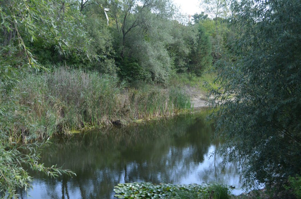 15. Neuköllner Zeitreise – Auf den Spuren der Eiszeit