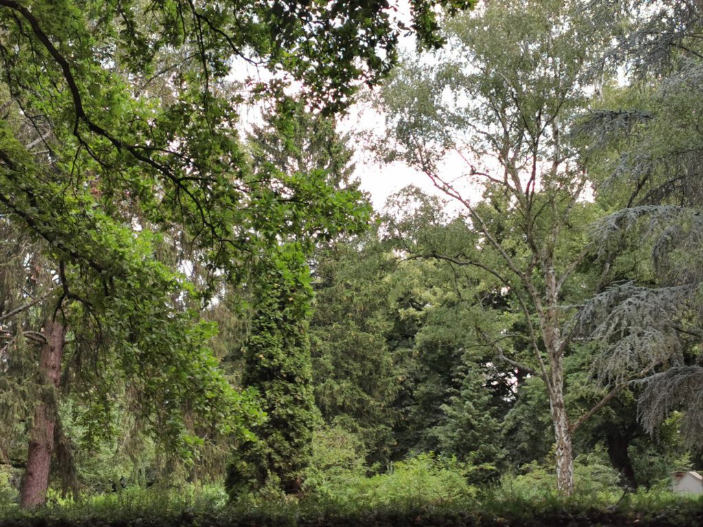 650 Jahre Britz – Die Friedhöfe Teil 1, Koppelweg