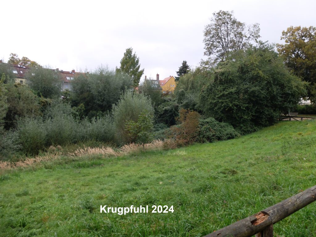 Sommerfest 100 Jahre Krugpfuhl-Siedlung