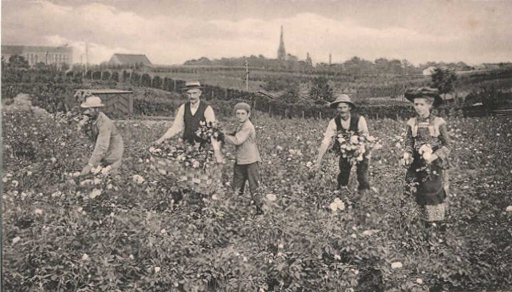 15. Neuköllner Zeitreise – Auf den Spuren der Eiszeit