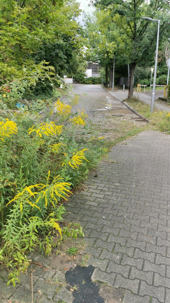 15. Neuköllner Zeitreise – Industrie in Britz