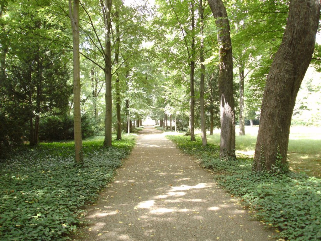 Rund um das Schloss Britz