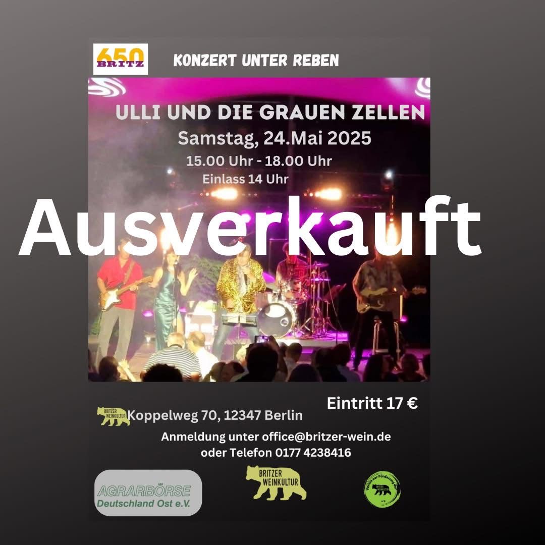Ausverkauft - Konzert unter Reben: Ulli und die grauen Zellen