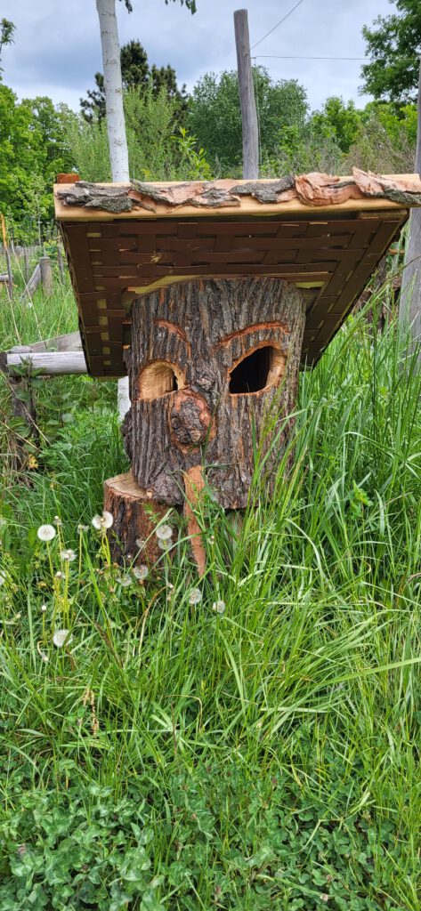 Von der Wurzel bis zum Wipfel