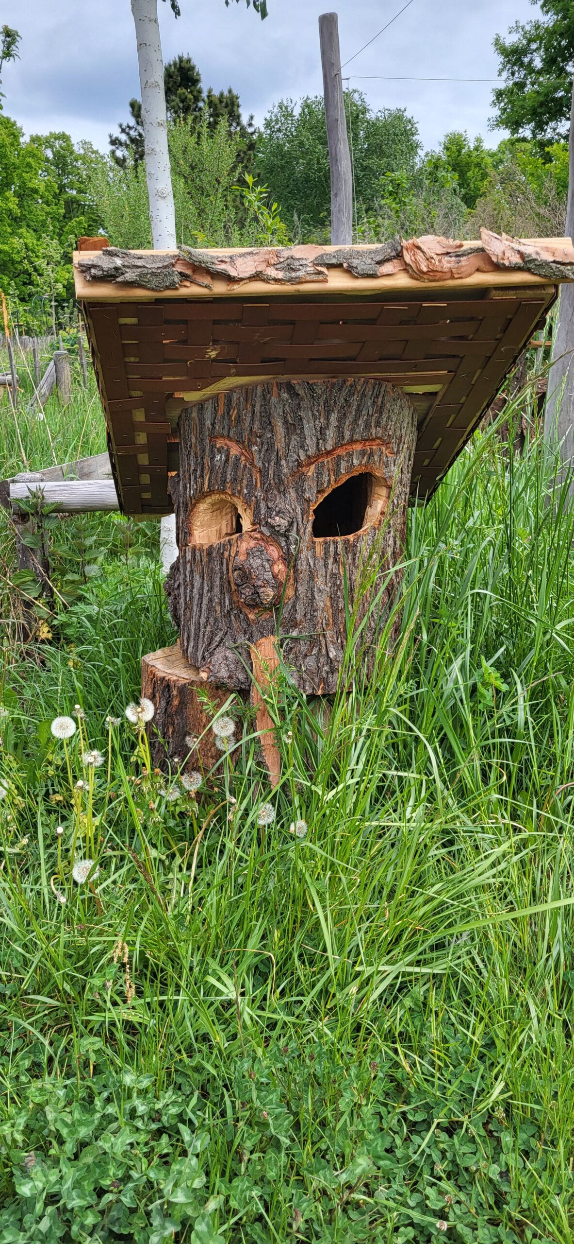 Von der Wurzel bis zum Wipfel