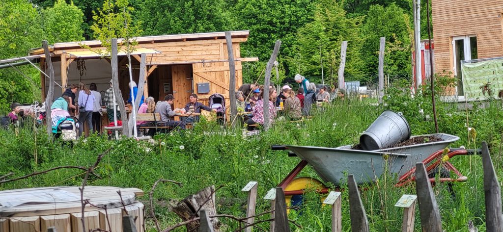 Postkarte mit selbst hergesteller Tinte herstellen