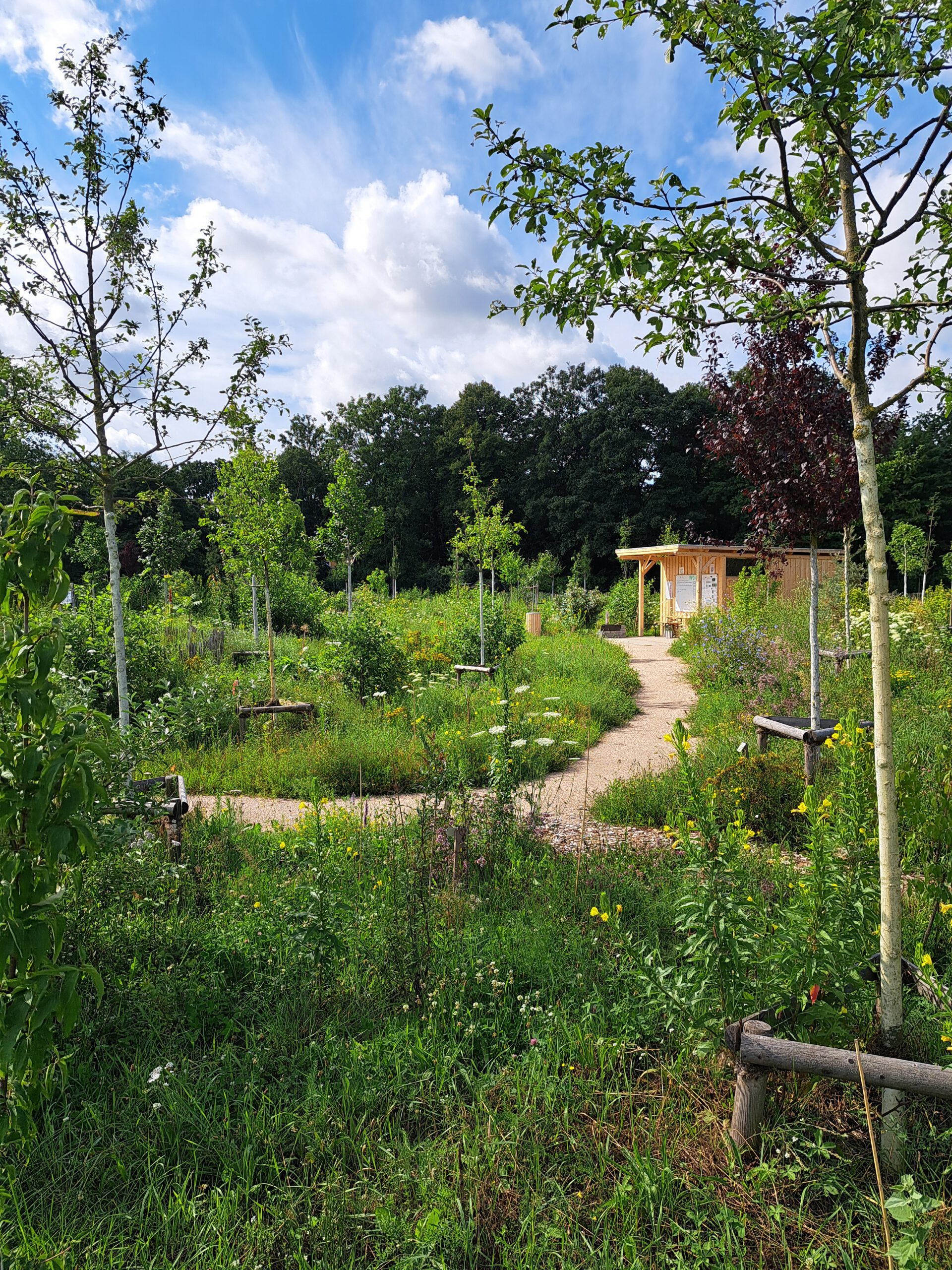 Von der Wurzel bis zum Wipfel