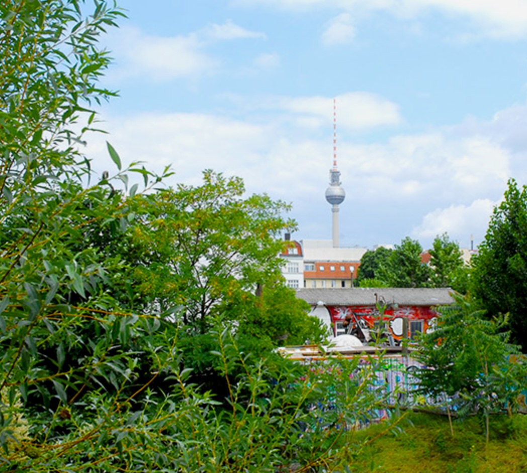 Frühlingsfest. Ein Erlebnis im Grünen