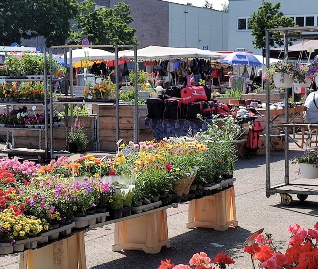 Wochenmarkt Britz Süd